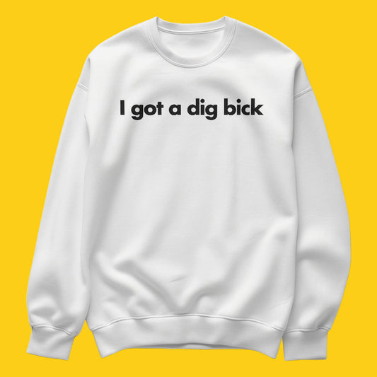 Brandzvibe Digbick sweatshirt